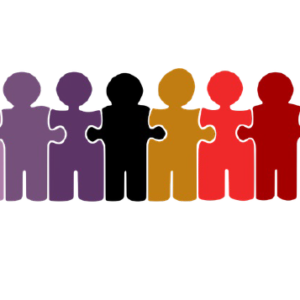 Gender Diversity and Its Impact on Organizational Performance