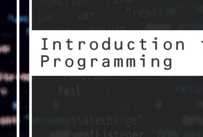 Introduction-to-Programming-e1729703128300