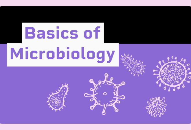 Basics-of-Microbiology