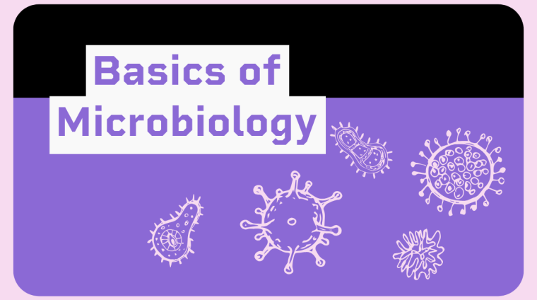 Basics-of-Microbiology Basics-of-Microbiology