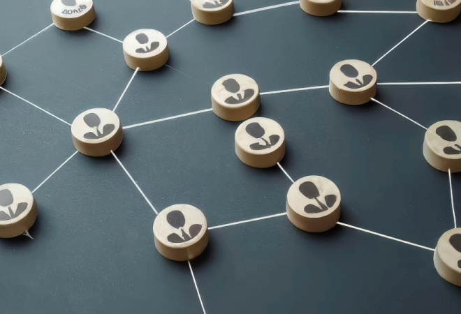 Networking-and-Relationship-Building