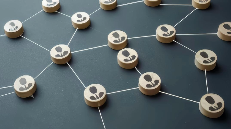 Networking-and-Relationship-Building