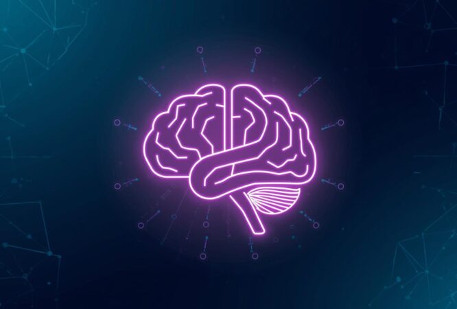 Introduction to Knowledge Management (1)